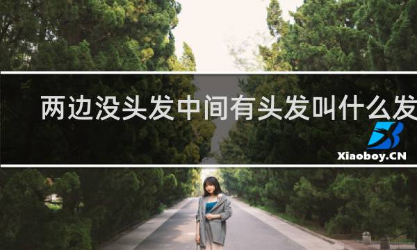 两边没头发中间有头发叫什么发型