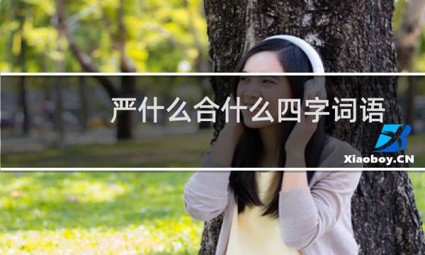 严什么合什么四字词语