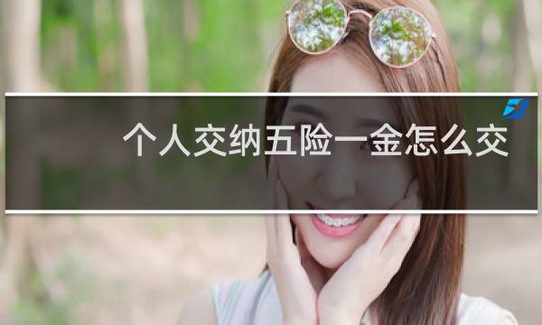 个人交纳五险一金怎么交