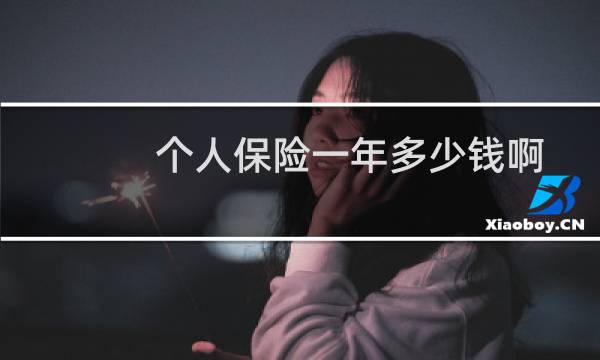 个人保险一年多少钱啊