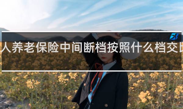 个人养老保险中间断档按照什么档交比较划算