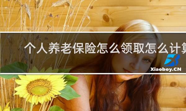个人养老保险怎么领取怎么计算