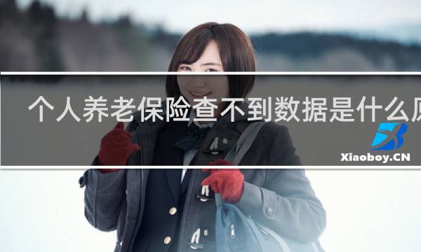 个人养老保险查不到数据是什么原因