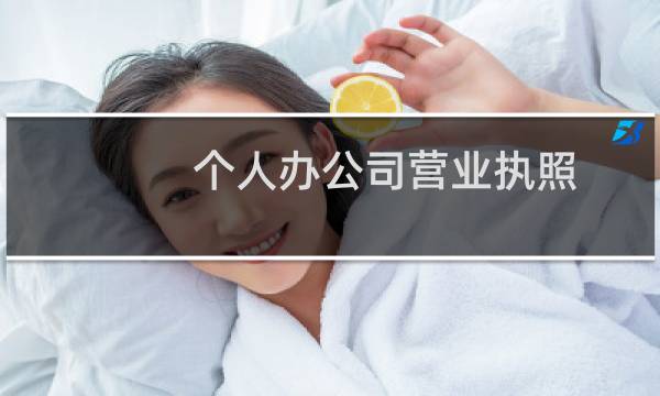 个人办公司营业执照