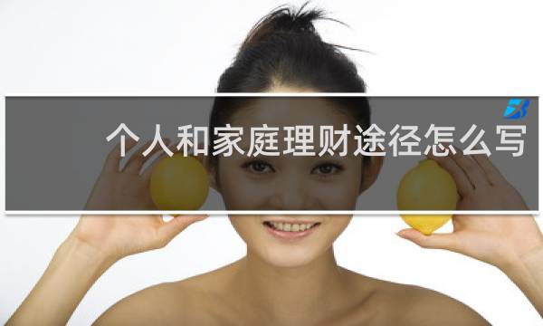 个人和家庭理财途径怎么写