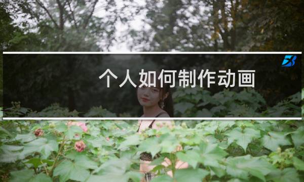 个人如何制作动画