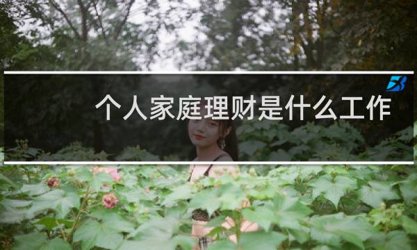 个人家庭理财是什么工作