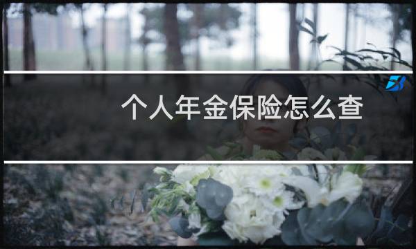 个人年金保险怎么查