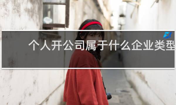 个人开公司属于什么企业类型