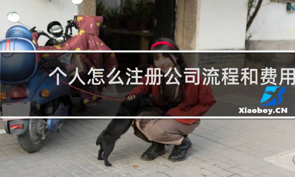 个人怎么注册公司流程和费用