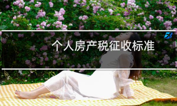 个人房产税征收标准