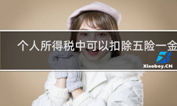 个人所得税中可以扣除五险一金吗