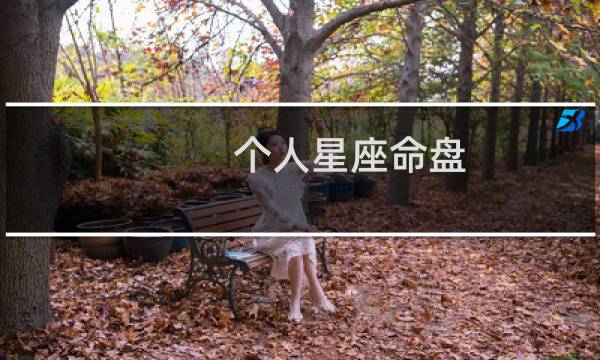 个人星座命盘