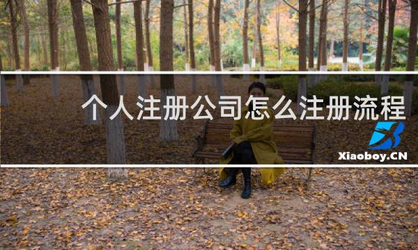 个人注册公司怎么注册流程