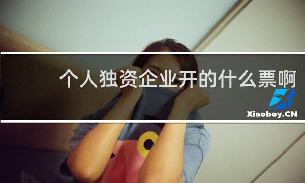 个人独资企业开的什么票啊