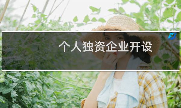 个人独资企业开设
