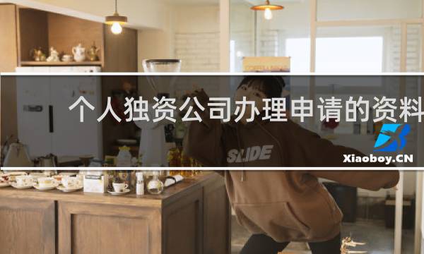 个人独资公司办理申请的资料
