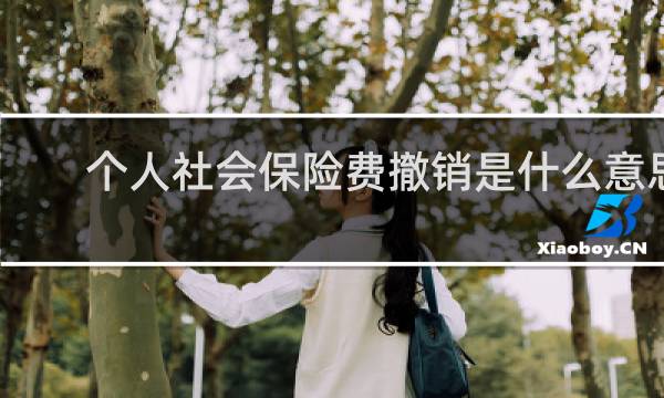 个人社会保险费撤销是什么意思