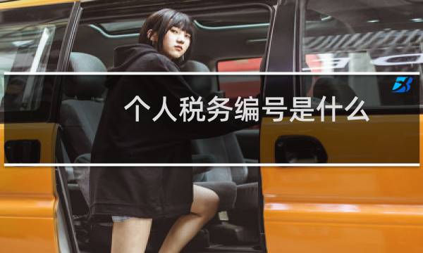 个人税务编号是什么