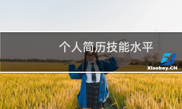 个人简历技能水平