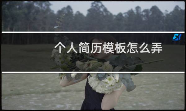 个人简历模板怎么弄