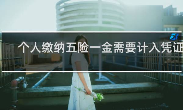 个人缴纳五险一金需要计入凭证吗