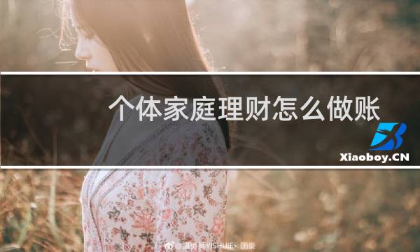 个体家庭理财怎么做账