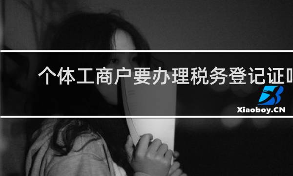 个体工商户要办理税务登记证吗
