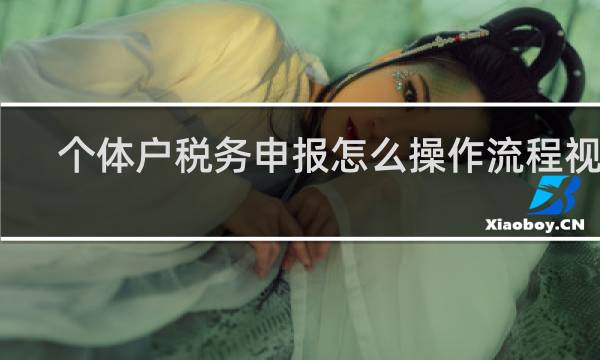个体户税务申报怎么操作流程视频
