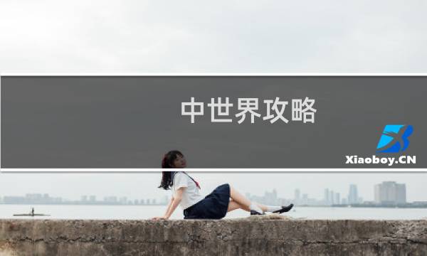 中世界攻略