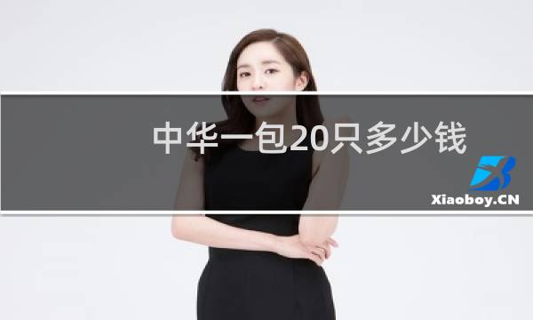 中华一包20只多少钱
