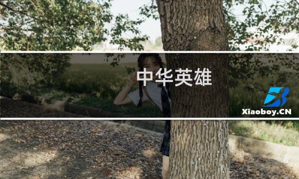 中华英雄 游戏攻略