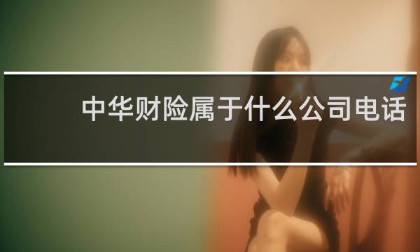 中华财险属于什么公司电话