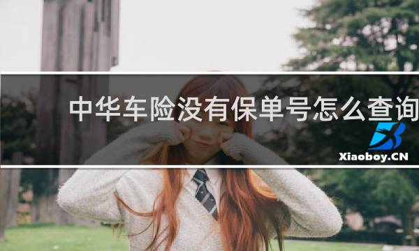 中华车险没有保单号怎么查询