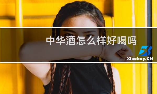中华酒怎么样好喝吗