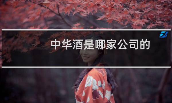 中华酒是哪家公司的