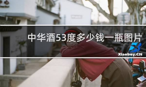 中华酒53度多少钱一瓶图片