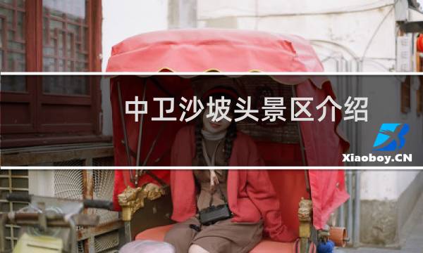 中卫沙坡头景区介绍