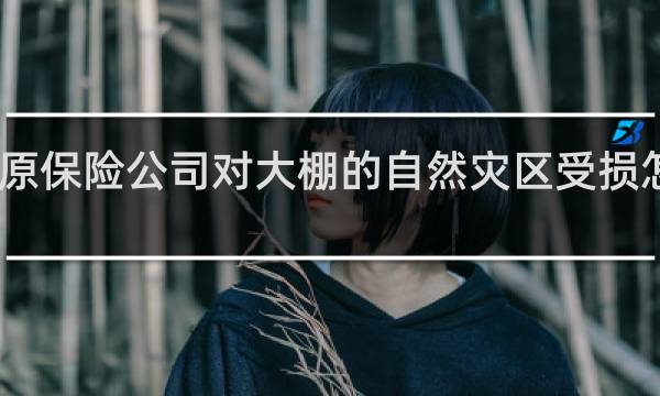 中原保险公司对大棚的自然灾区受损怎么理赔