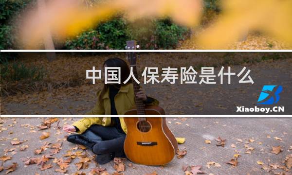 中国人保寿险是什么