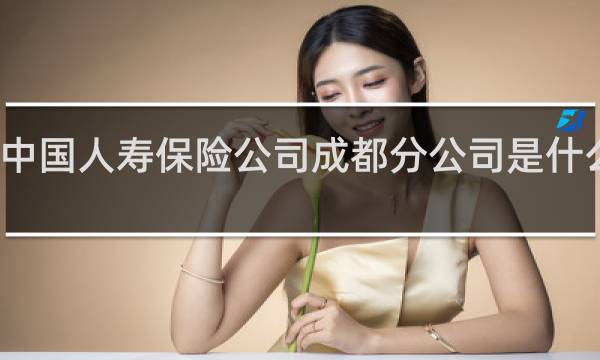 中国人寿保险公司成都分公司是什么公司