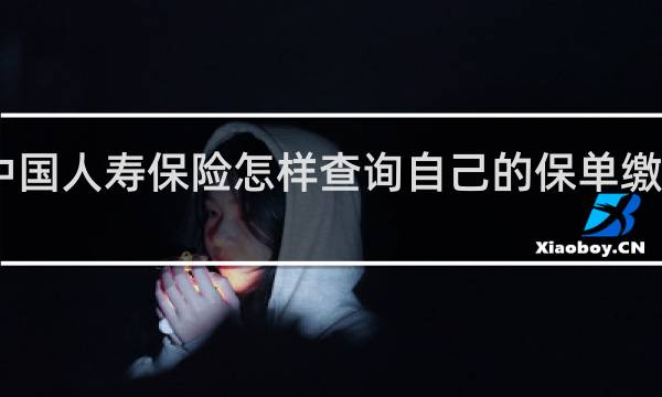 中国人寿保险怎样查询自己的保单缴费情况