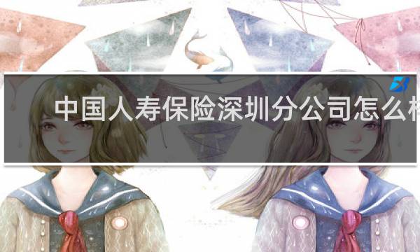 中国人寿保险深圳分公司怎么样