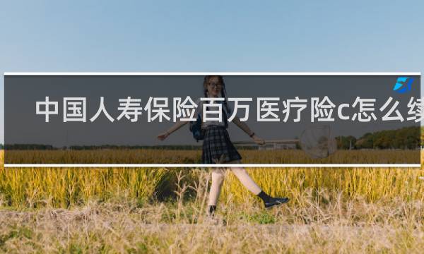 中国人寿保险百万医疗险c怎么续费