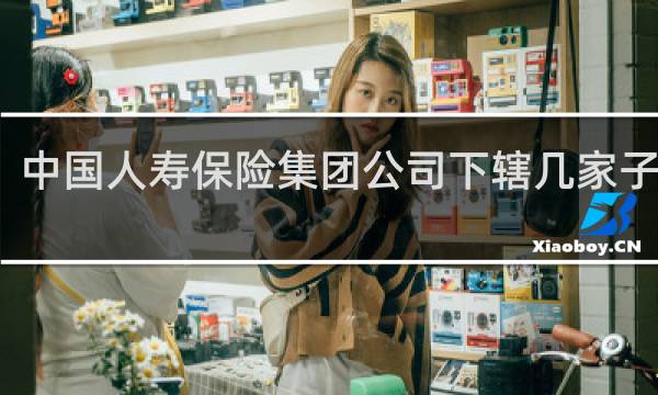 中国人寿保险集团公司下辖几家子公司