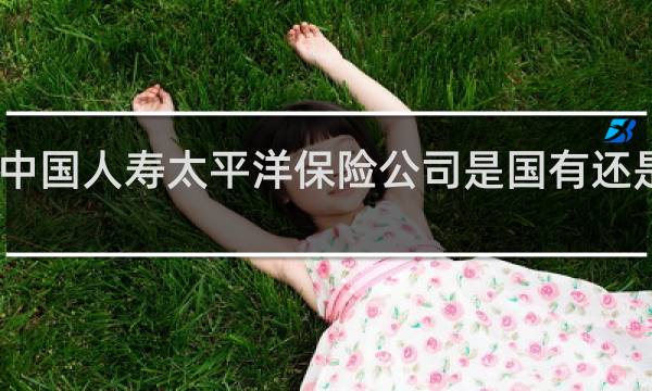 中国人寿太平洋保险公司是国有还是央企