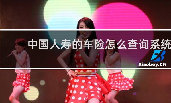 中国人寿的车险怎么查询系统