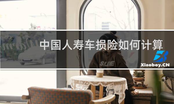 中国人寿车损险如何计算