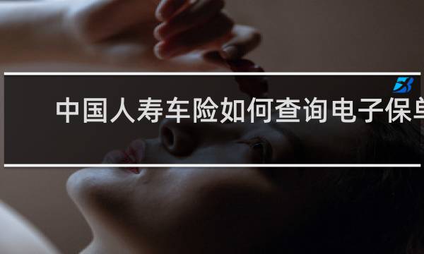 中国人寿车险如何查询电子保单