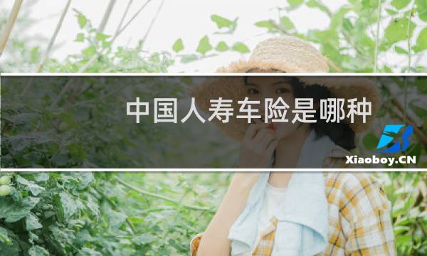 中国人寿车险是哪种